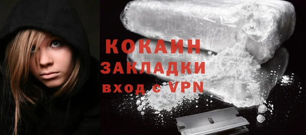 прущие грибы Наволоки