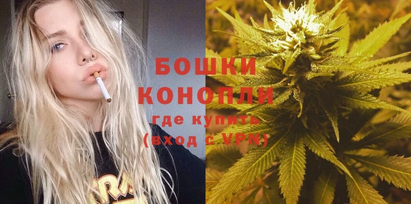 прущие грибы Наволоки