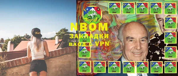 прущие грибы Наволоки