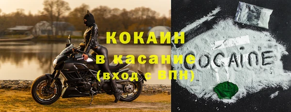 прущие грибы Наволоки