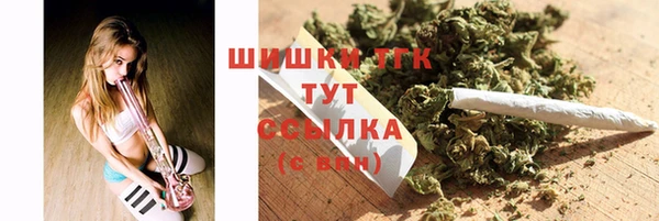 прущие грибы Наволоки