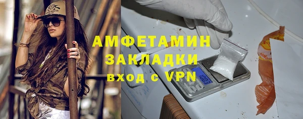 прущие грибы Наволоки